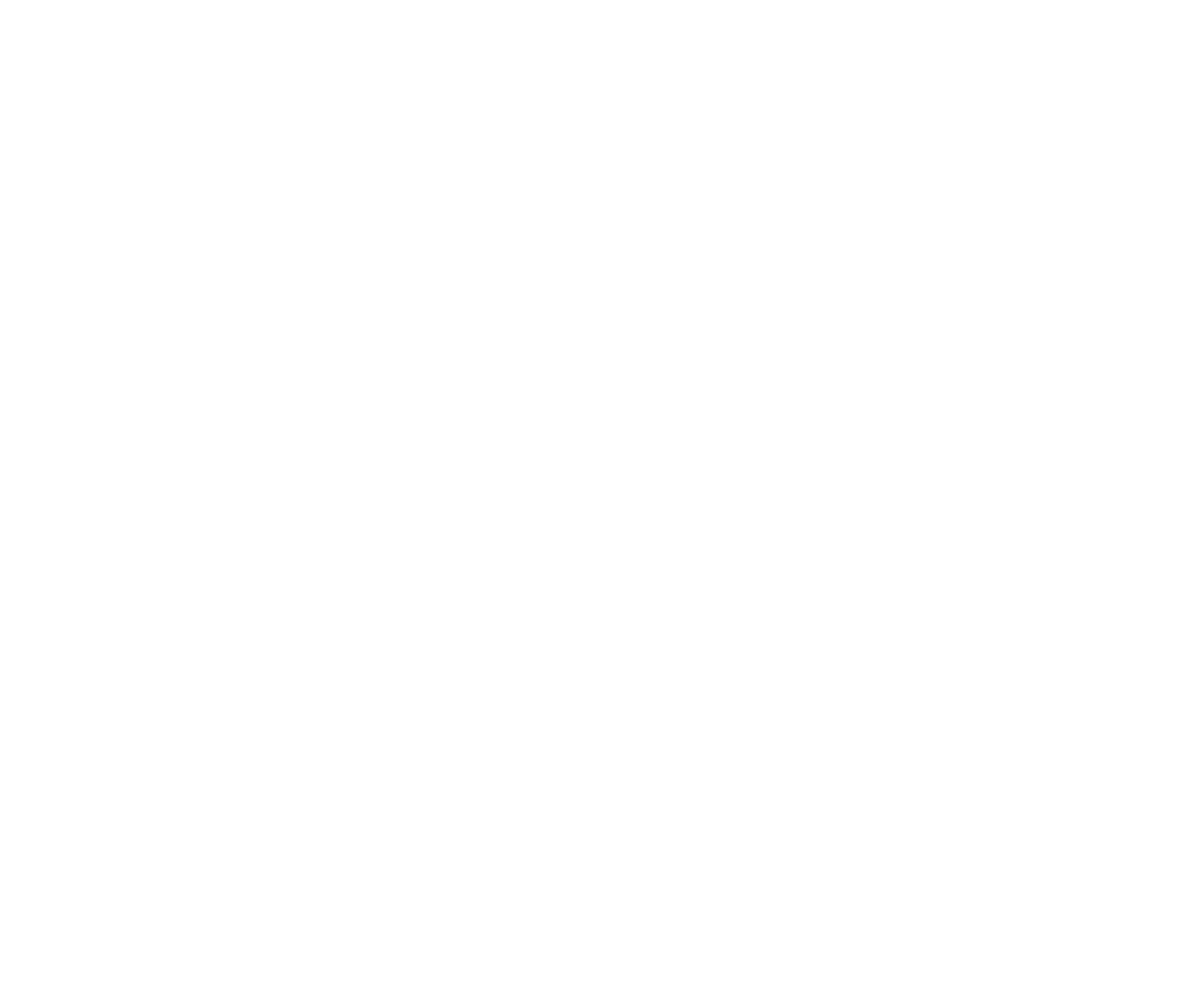 Behaviour Interactive logo